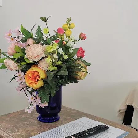 게스트하우스 Rickyguesthouse