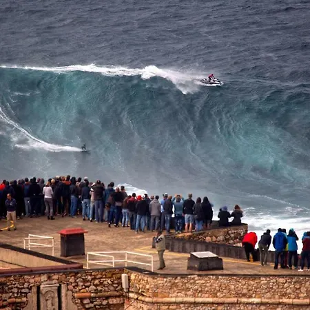 Rickyguesthouse Pensionat