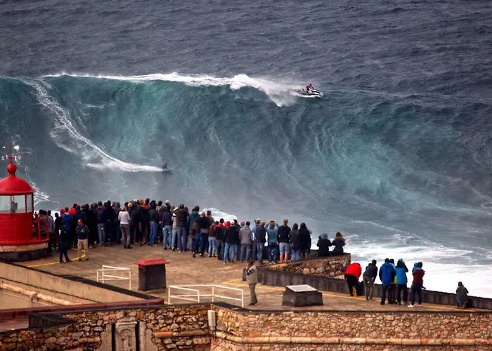 Rickyguesthouse Affittacamere